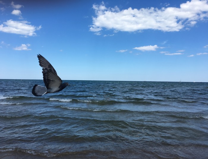 Я просто хотела сфотографировать море