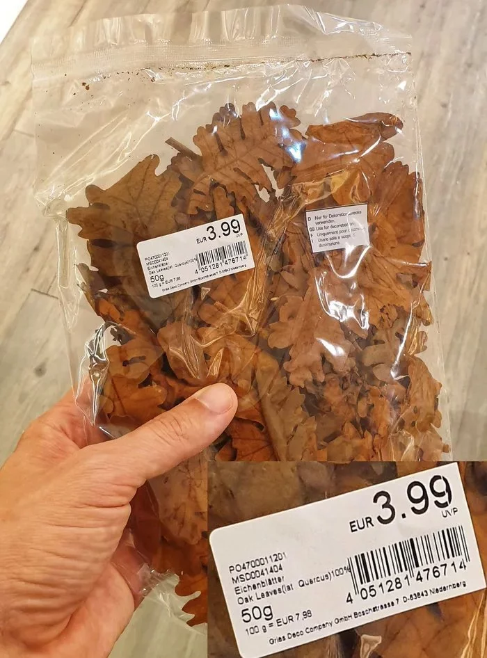 In Europe you can buy 50 grams of oak leaves for 3.99 euros - Europe, Business, Images, Oak, Leaves