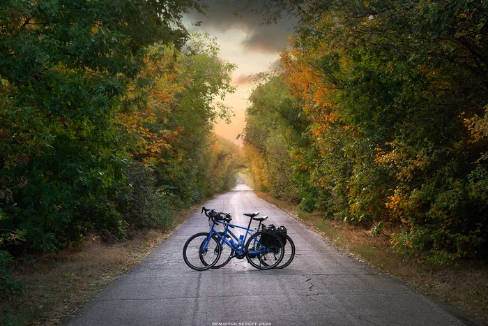 Riding together with my wife through the autumn tunnels is a special pleasure)) - My, The photo, Landscape, Autumn, Tunnel, Color, A bike, Atmosphere, Road
