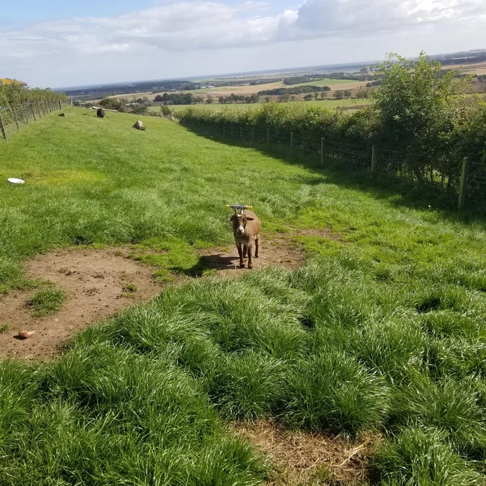 Что это за штука - 109 Перевел сам, Reddit, WhatIsThisThing, Видео, Длиннопост Что это за штука - 109 Перевел сам, Reddit, WhatIsThisThing, Видео, Длиннопост