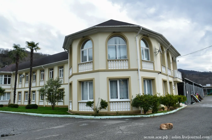 Как выращивают форель в Адлере Рыба, Форель, Как это сделано, Длиннопост, Разведение