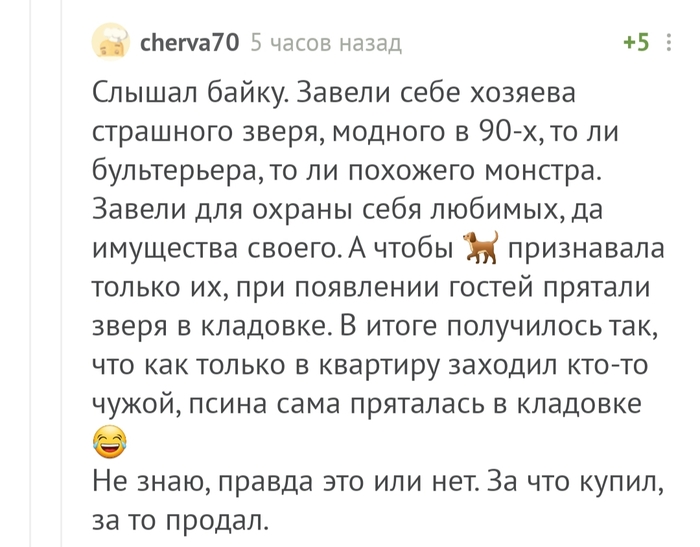 смешная история про хорька. Смотреть фото смешная история про хорька. Смотреть картинку смешная история про хорька. Картинка про смешная история про хорька. Фото смешная история про хорька