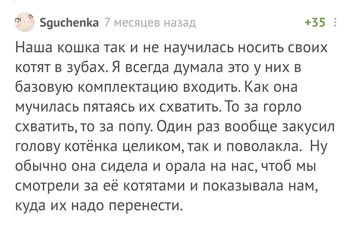 смешная история про хорька. Смотреть фото смешная история про хорька. Смотреть картинку смешная история про хорька. Картинка про смешная история про хорька. Фото смешная история про хорька