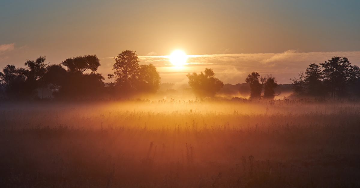 Sometimes in the morning. Рассвет туман. Раннее утро. Утренний рассвет. Рассвет фото.