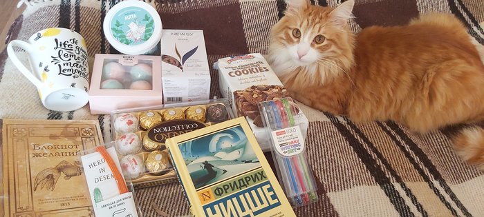 Профобмен 2020. Отчёт