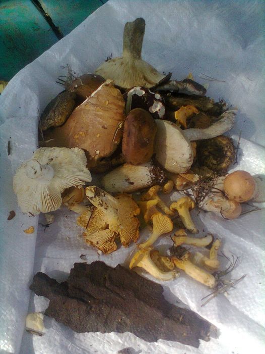 �������