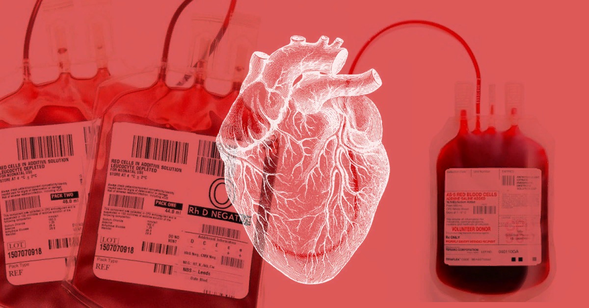 Донорство цена 2024. Донор крови. Переливание крови донор. Донор крови картинки.