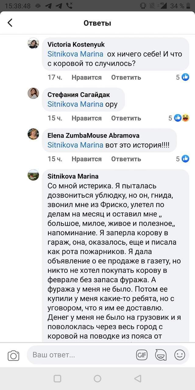 From Facebook - Cow, Republic of Belarus, Story, Longpost, Facebook