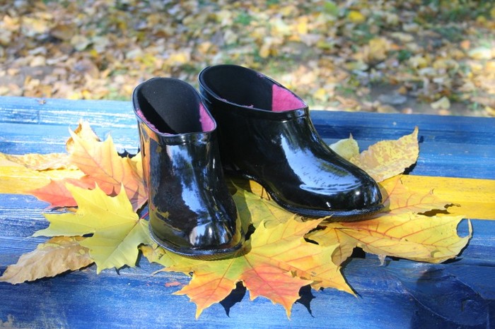 � ���������� ������� �������� ��������� ���������� �����, ������������� ������