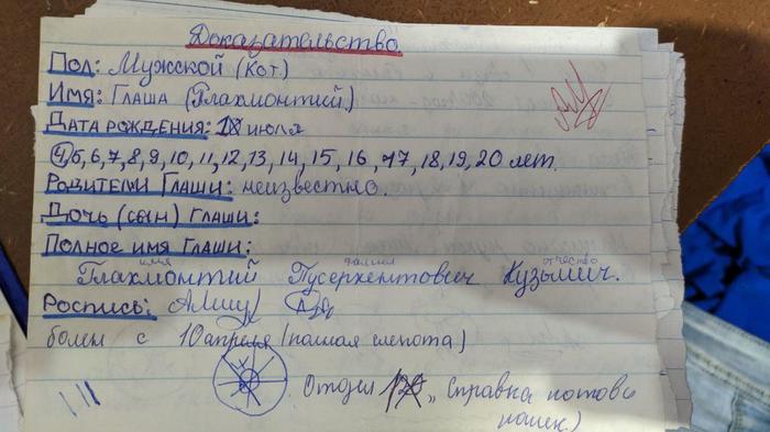 Маленький кошачий бюрократ Кот, Детство, Бюрократия, Длиннопост