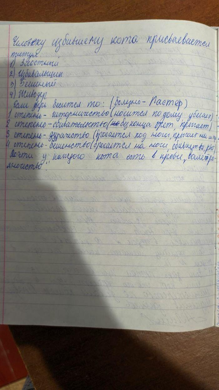 Маленький кошачий бюрократ Кот, Детство, Бюрократия, Длиннопост