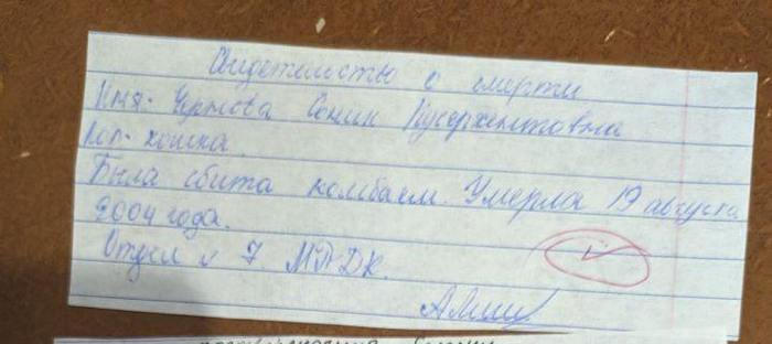 Маленький кошачий бюрократ Кот, Детство, Бюрократия, Длиннопост