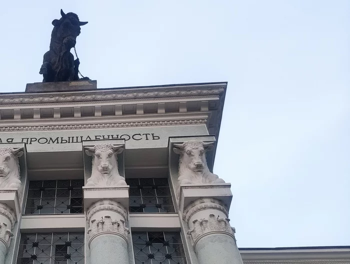 Кажется, он видел некоторое дерьмо... - Длиннопост, Фотография, Бык, Павильон, ВДНХ