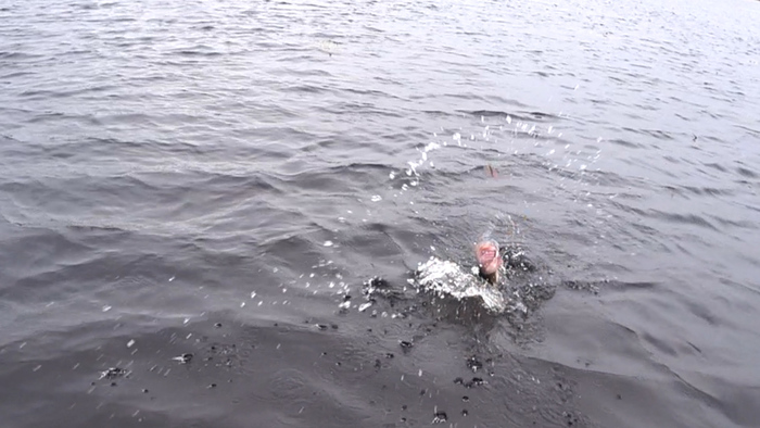 Ловля щуки в октябре Щука, Спиннинг, Осень, Рыбалка, Длиннопост