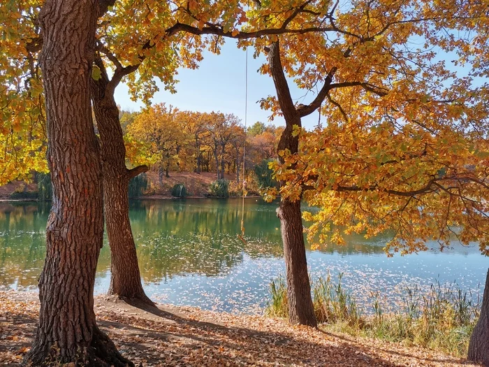 Some autumn landscapes - My, Autumn, The photo, Landscape, Autumn leaves