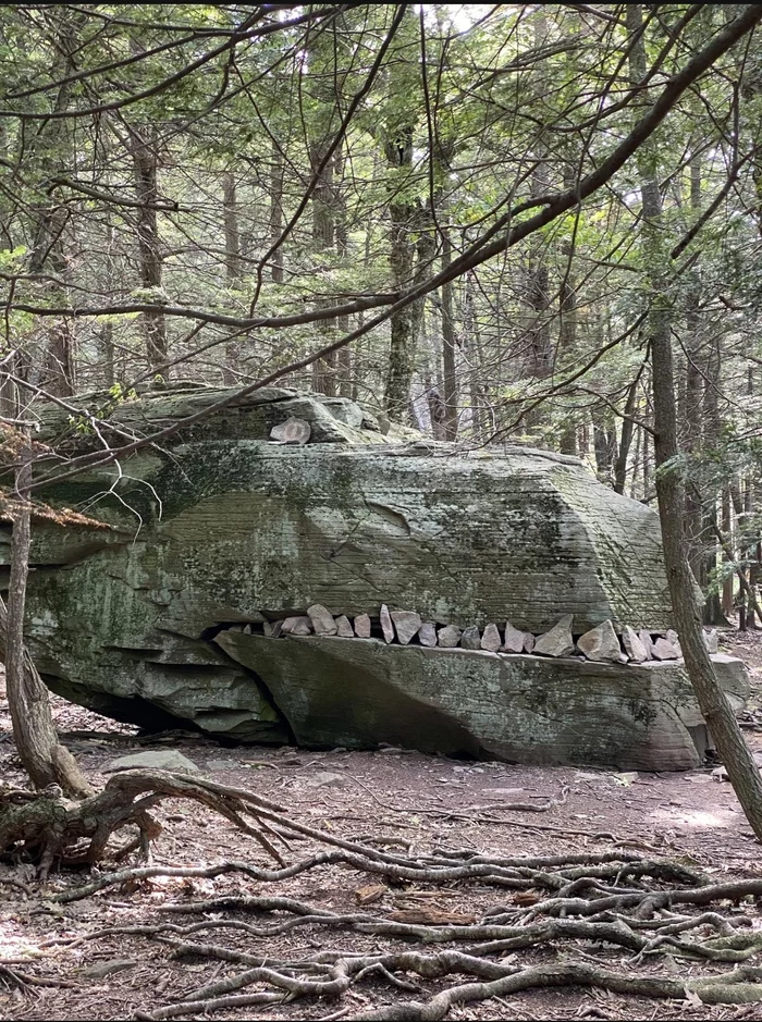 stone dinosaur - Dinosaurs, A rock, Pareidolia