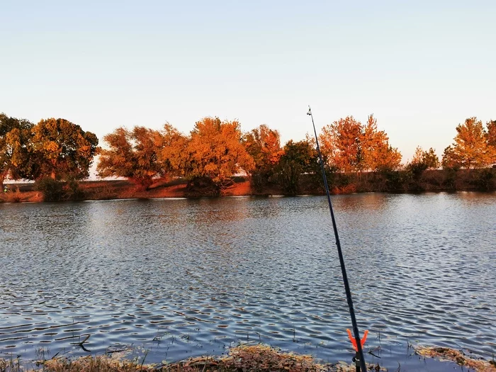 Colors of autumn fishing - My, Autumn, Fishing, Sunset