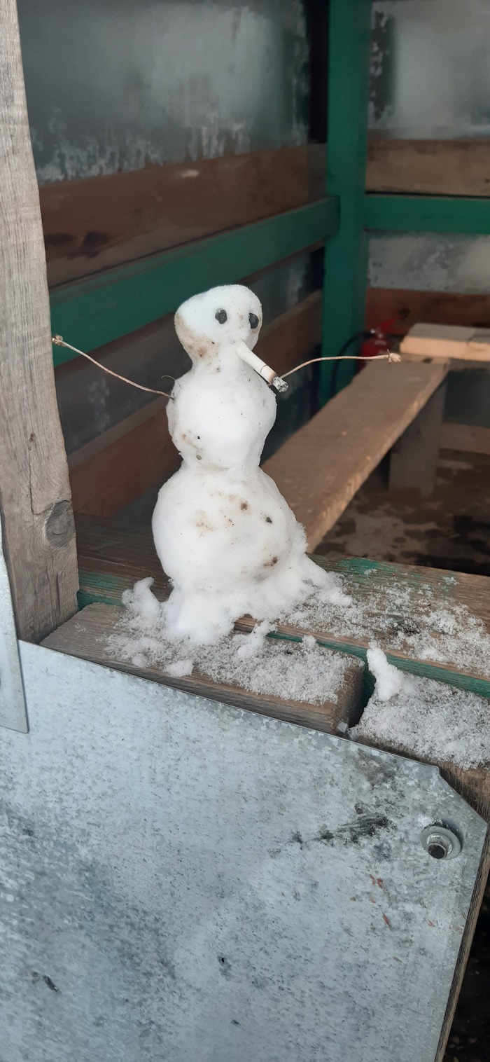 Снеговик 2020го как олицетворение года