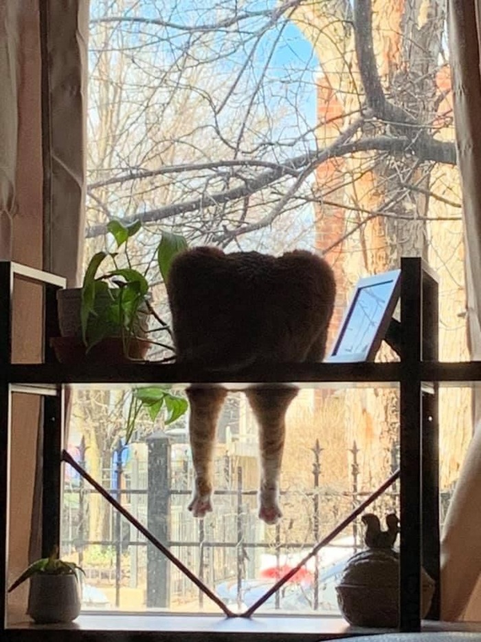 ������� �����