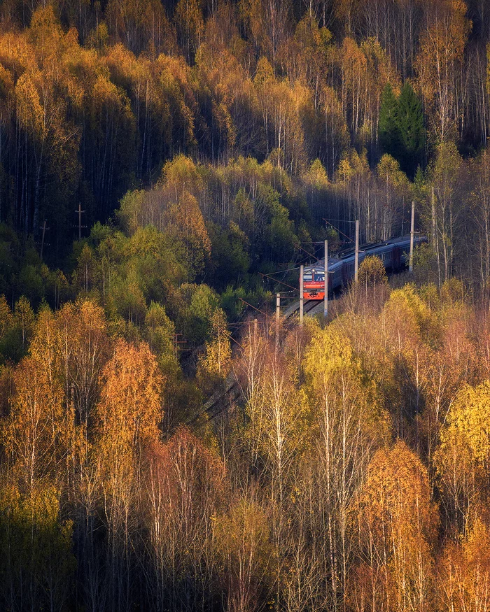 Осенний экспресс - Моё, Фотография, Пермский край, Осень, Природа, Березы, Красота, Красота природы, Железная Дорога, Поезд, Электричка, Вечер