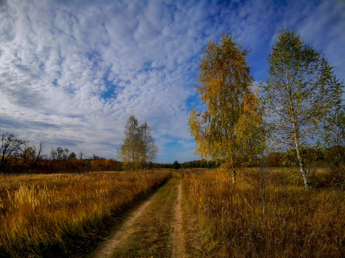 Велопрогулка - Моё, Мобильная фотография, Пейзаж, Природа, Дзержинск, Велопрогулка, Велосипед, Huawei mate 20, Видео, Длиннопост