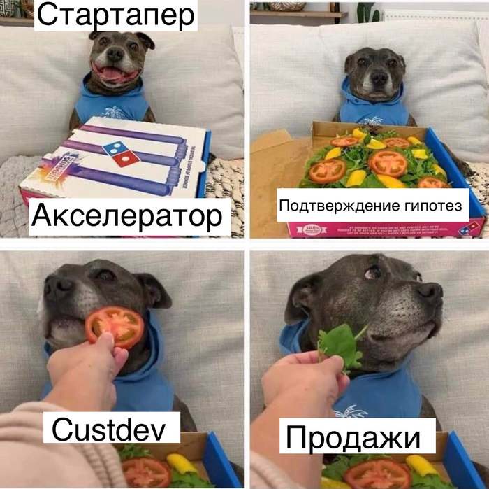 Реалии Стартапов