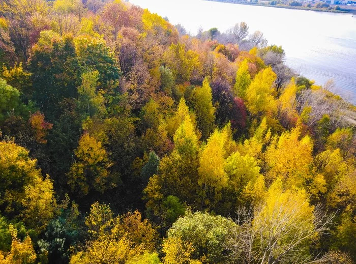 A little autumn - My, Autumn, View from above, The photo, Longpost, Nature, Autumn leaves