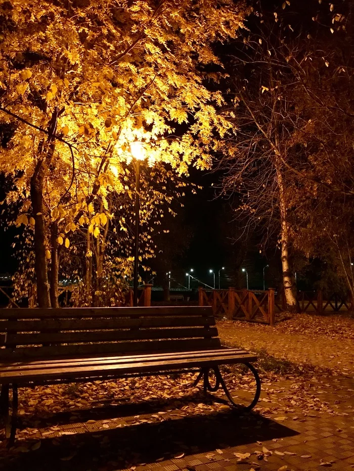 Night street lamp, bench... - My, The photo, Autumn, Arkhangelsk, Night