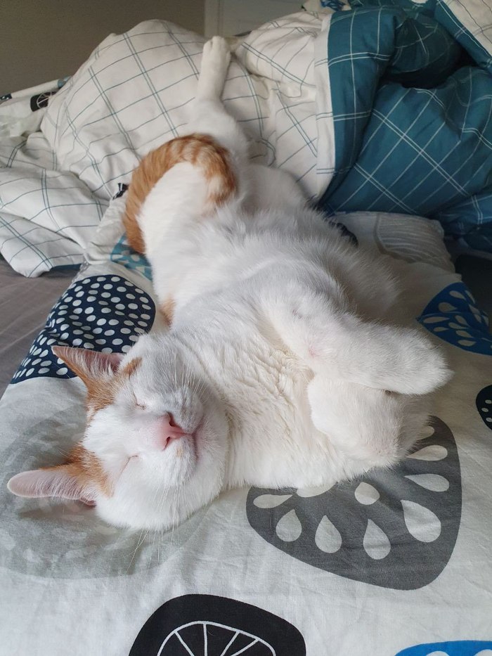 �������� �������� � ������