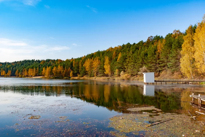 October was great this year - My, The photo, Lytkarino, Autumn, Career, Tree, Water, Longpost