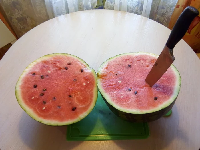 Closed the berry season with a 13-kilogram berry - My, Berries, Watermelon, watermelon season, Closing the season