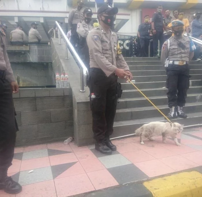 Indonesian police went to extreme measures... - Police, Indonesia, cat