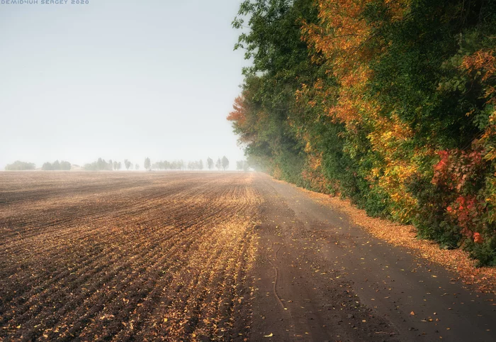 My autumn roads - My, The photo, Landscape, Road, Autumn, Smoke, Atmosphere, Open spaces, Autumn leaves