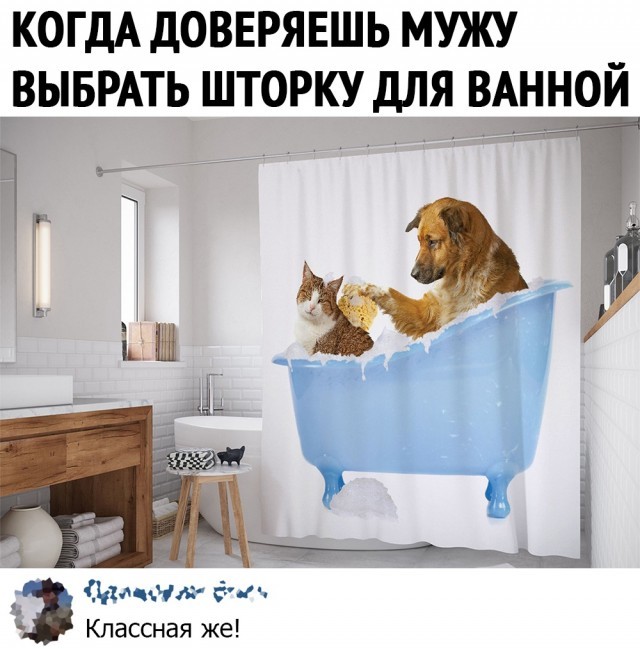 Each product has its own buyer - Picture with text, Comments, Animals, cat, Dog, Bath, Design, Interior, Bath curtain