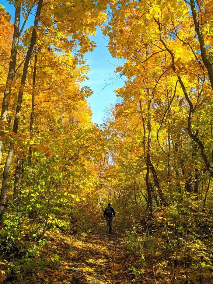 Samara Luka - golden autumn 2020 - My, Autumn, Nature, The photo, Bike ride, Xiaomi redmi 4x, Samarskaya luka, National park, Longpost, Samara