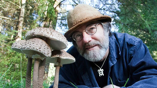 Mushrooms are healing and intelligent! The most interesting podcast about mushrooms - Mycology, Mushrooms, cordyceps, Reishi, Tinder, Psilocybin, Video, Longpost