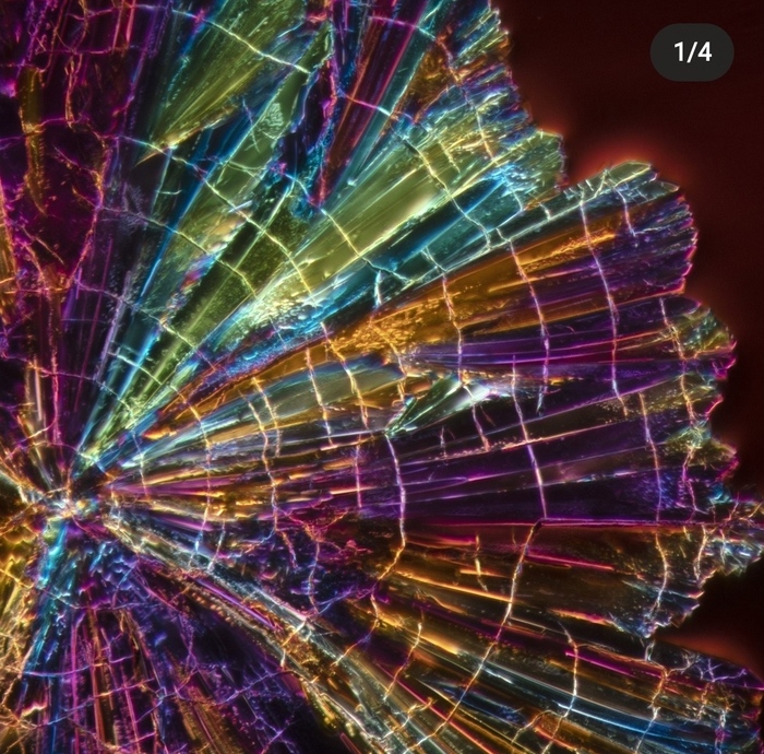 водка под микроскопом почему так выглядит. Смотреть фото водка под микроскопом почему так выглядит. Смотреть картинку водка под микроскопом почему так выглядит. Картинка про водка под микроскопом почему так выглядит. Фото водка под микроскопом почему так выглядит водка под микроскопом почему так выглядит. Смотреть фото водка под микроскопом почему так выглядит. Смотреть картинку водка под микроскопом почему так выглядит. Картинка про водка под микроскопом почему так выглядит. Фото водка под микроскопом почему так выглядит