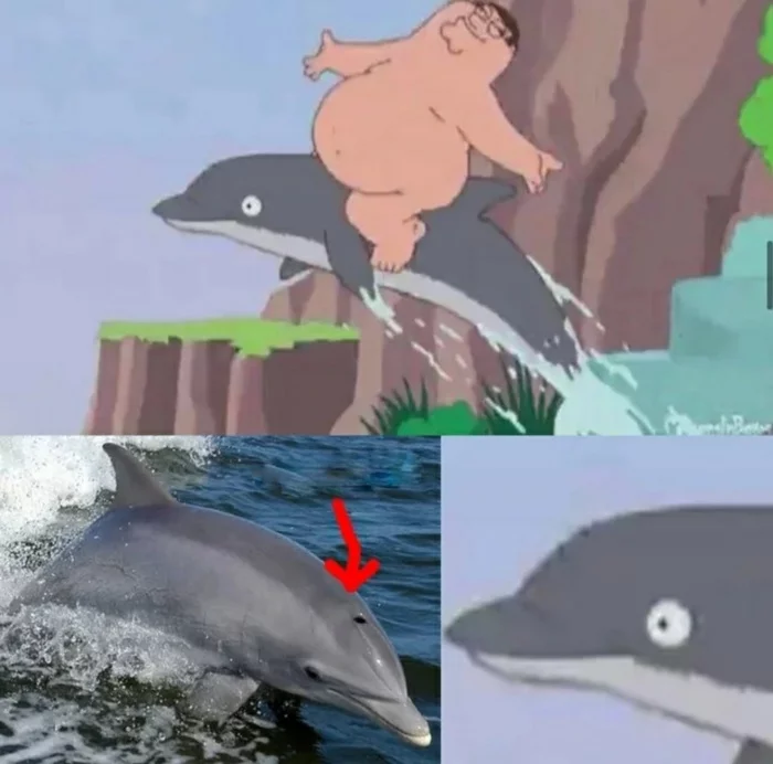 I think I've had enough of the internet - Humor, Cartoons, Family guy, Dolphin