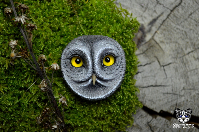       , , , -, ,  ,  , , ,   