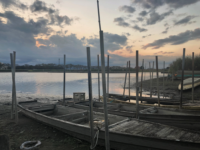 Озеро Исанума, Сайтама, Япония