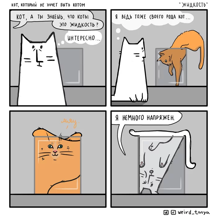 The cat who doesn't want to be a cat #23 Liquid - My, Weird_Tanya comics, Comics, Author's comic, cat, Humor, Web comic, Cats are liquid, Liquid