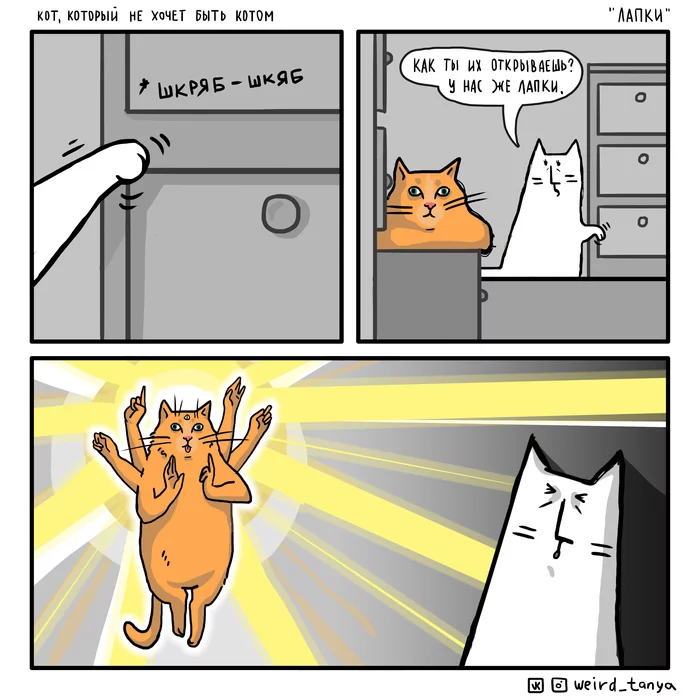 The cat who doesn't want to be a cat #24 Paws - My, Weird_Tanya comics, Comics, Author's comic, cat, Humor, Web comic, Paws