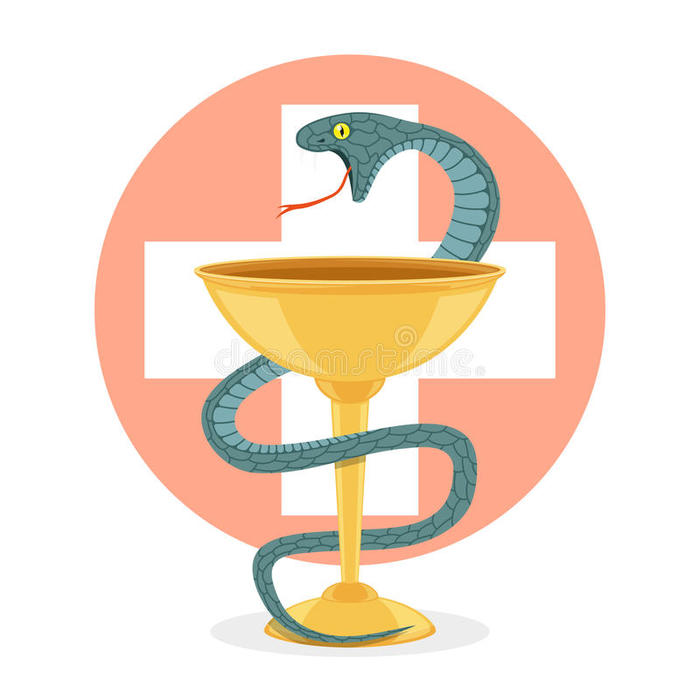 Mother-in-law drinks water!!! - Mother-in-law, Snake, Bowl, The medicine
