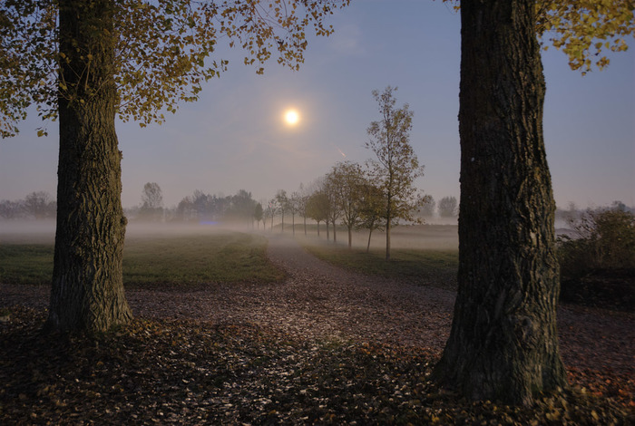 ����� - �� ����� �������, ��� ����, �� �� �� �������� ����