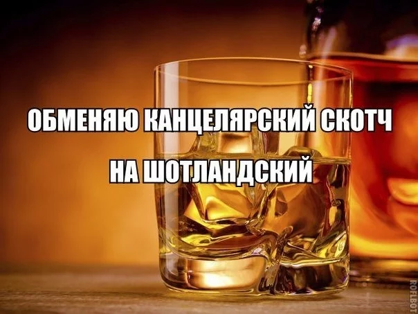 Искусственное старение виски: реально ли пить технологии? - Моё, Виски, Алкоголь, Стартап, Инвестиции, Интересное