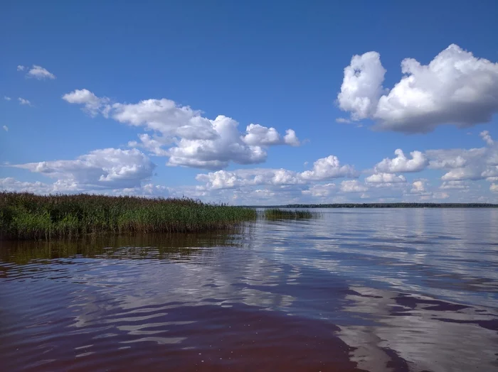 Иваньковское водохранилище. Тверская область - Моё, Мобильная фотография, Фотография, Московское море, Природа, Тверская область, Длиннопост