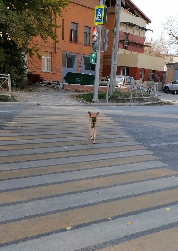 1602766155163111742 для чего кнопка на светофоре