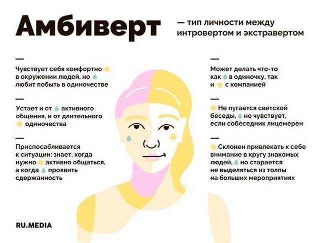 Кто ви по психотипу? Я интроверт - Моё, Интроверт, Психология, Длиннопост