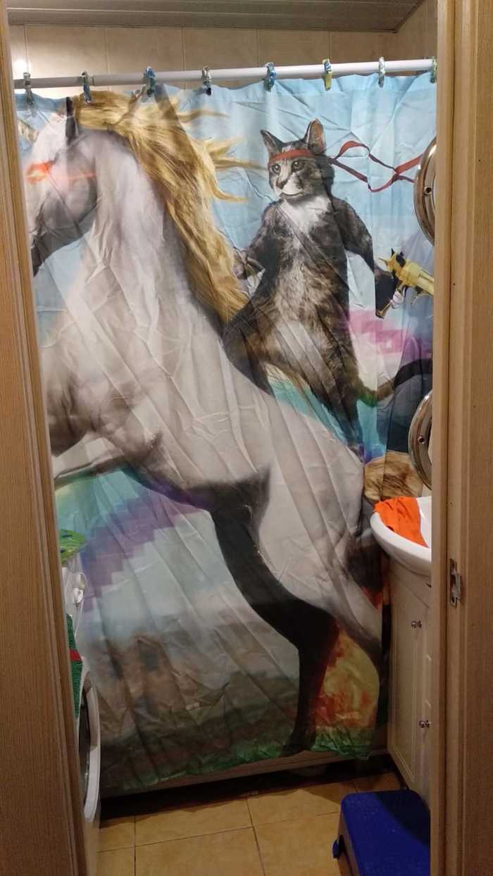          ,   , ,   