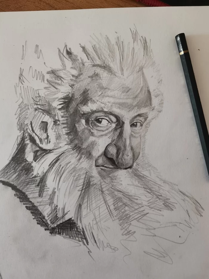 Balin from the movie The Hobbit: The Desolation of Smaug - My, Balin, The hobbit, Gnomes, Drawing